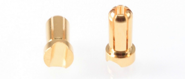 RUDDOG 5mm Gold Plug Male Short - Stecker, kurz - (2 Stk.)