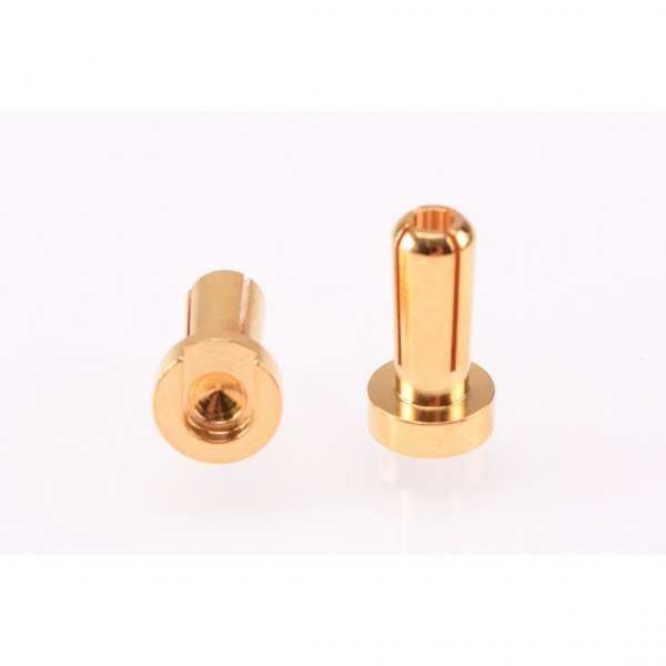 RUDDOG 4mm Gold Plug Male 12mm (2 Stk.)